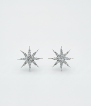 Brinco Estrela Guia Prata 925
