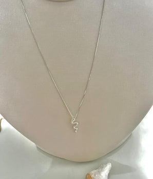 COLAR PINGENTE COBRA PRATA 925